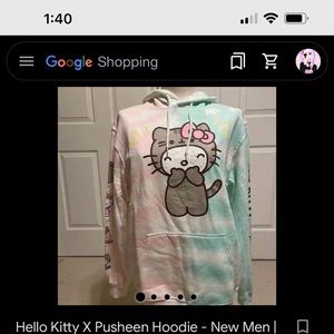 Hello kitty x pusheen hoodie (don’t buy) read description!